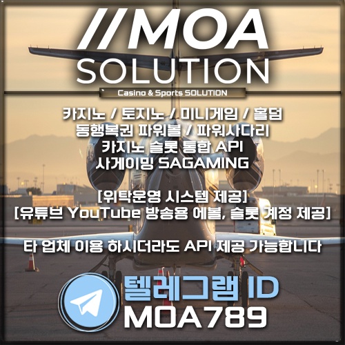 카지노 솔루션