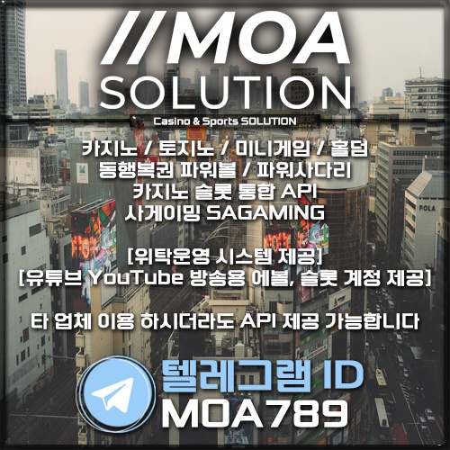 카지노 솔루션