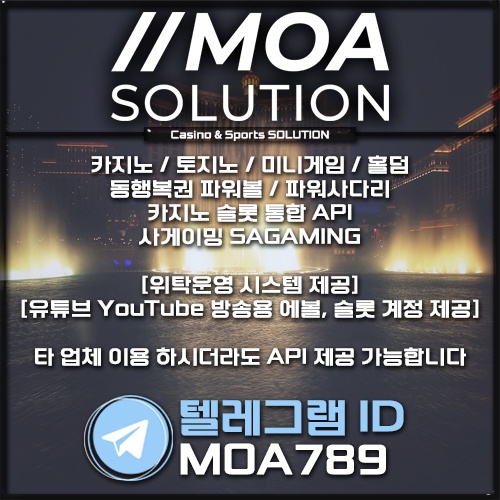 카지노 솔루션