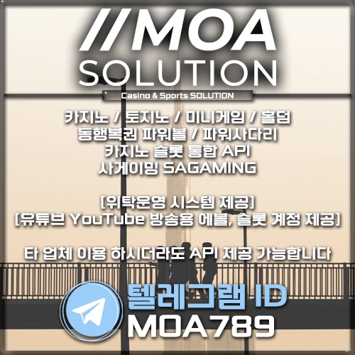 카지노 솔루션