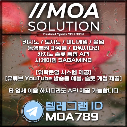 카지노 솔루션